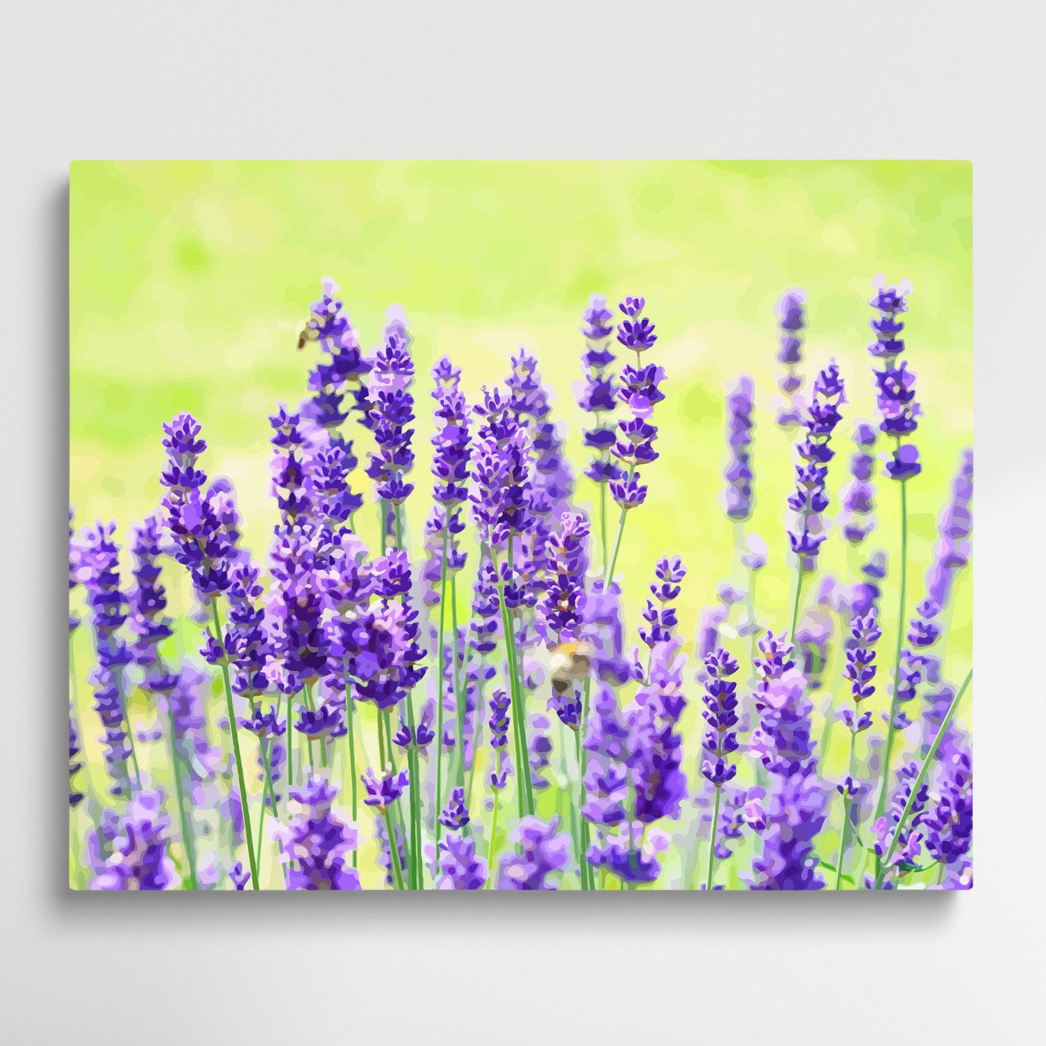 Lavender V1 | Paint by Numbers | Flowers-Paintsuper