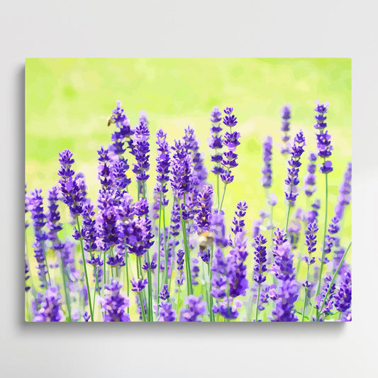 Lavender V1 | Paint by Numbers | Flowers-Paintsuper