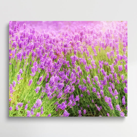 Lavender V2 | Paint by Numbers | Flowers-Paintsuper