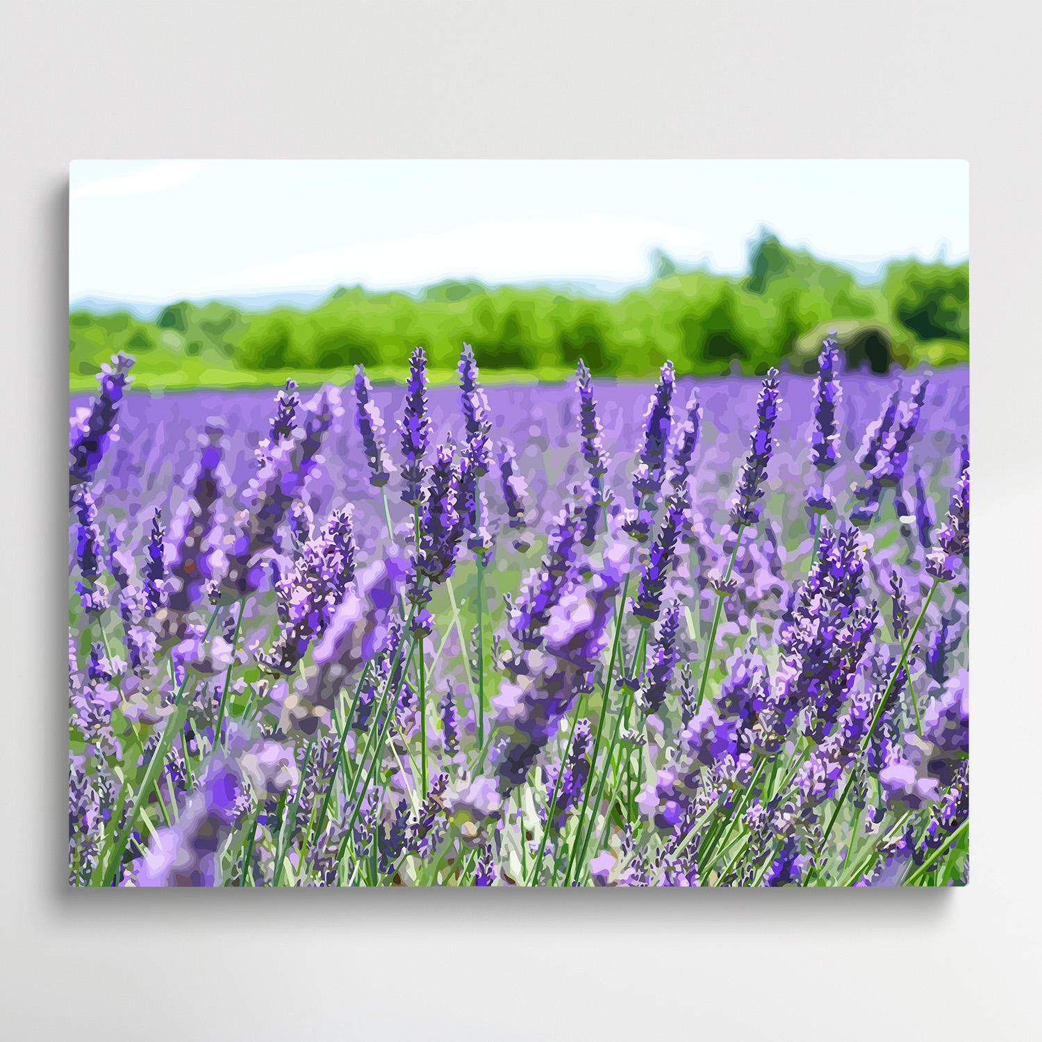 Lavender V3 | Paint by Numbers | Flowers-Paintsuper