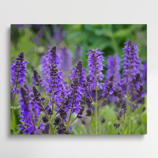 Lavender V5 | Paint by Numbers | Flowers-Paintsuper