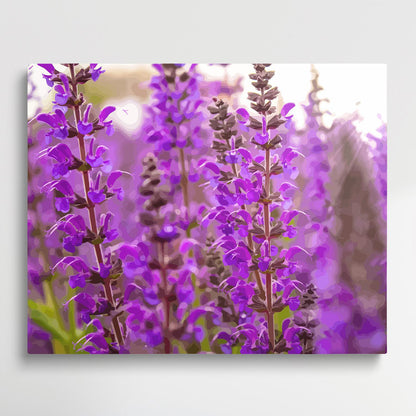 Lavender V6 | Paint by Numbers | Flowers-Paintsuper