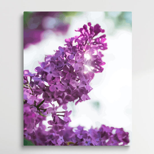 Lilac | Paint by Numbers | Flowers-Paintsuper