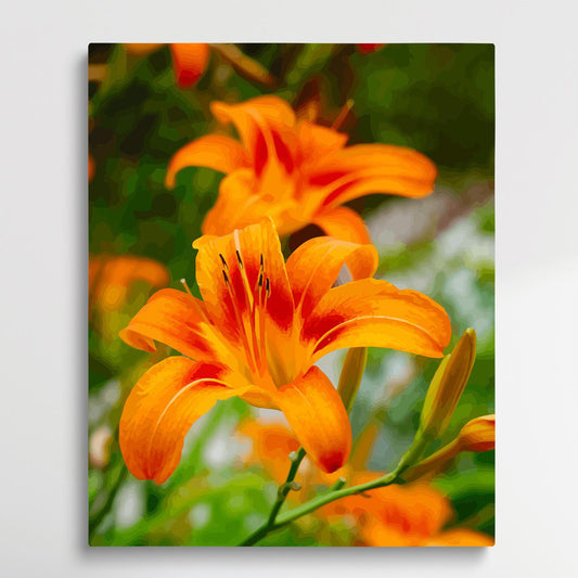 Lilies | Paint by Numbers | Flowers-Paintsuper