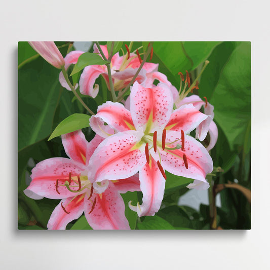 Lily V1 | Paint by Numbers | Flowers-Paintsuper