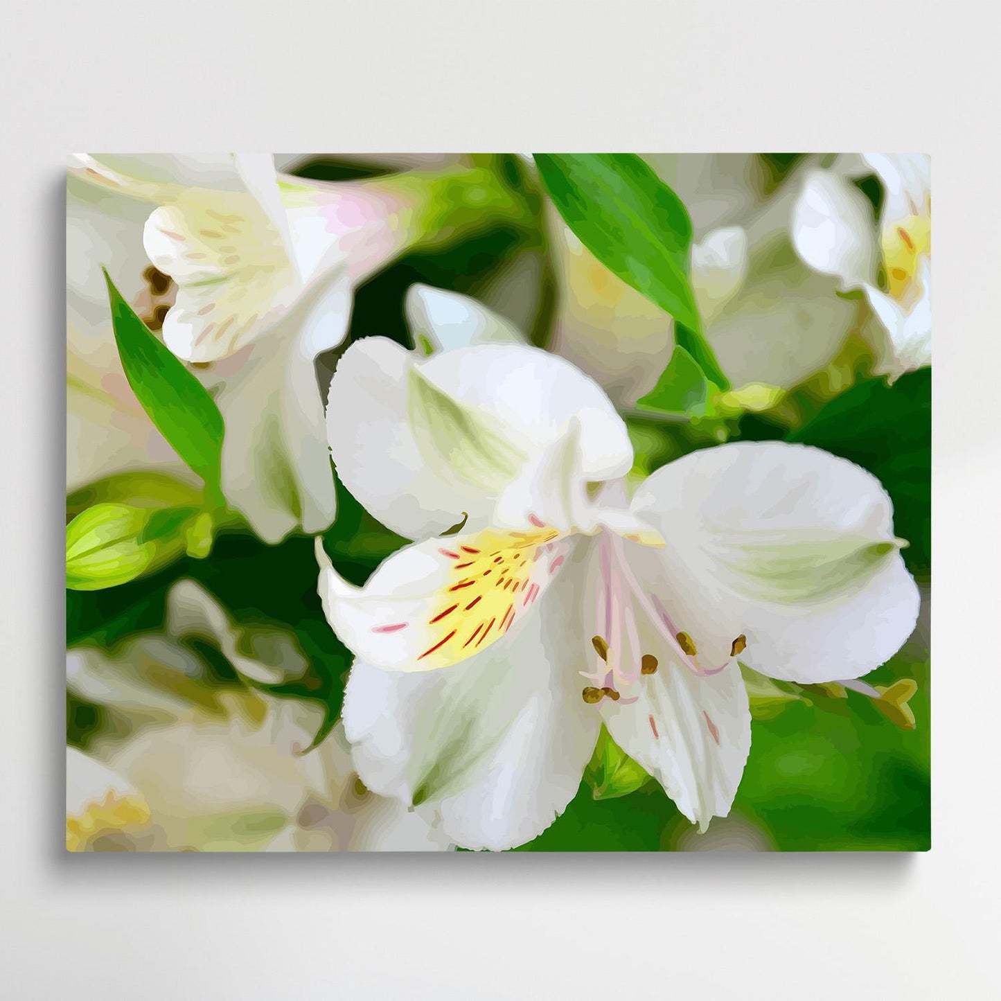 Lily V2 | Paint by Numbers | Flowers-Paintsuper