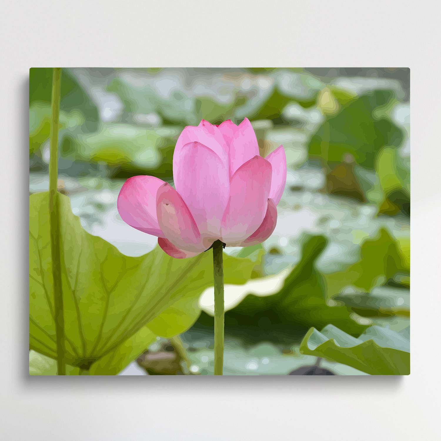 Lotus V1 | Paint by Numbers | Flowers-Paintsuper