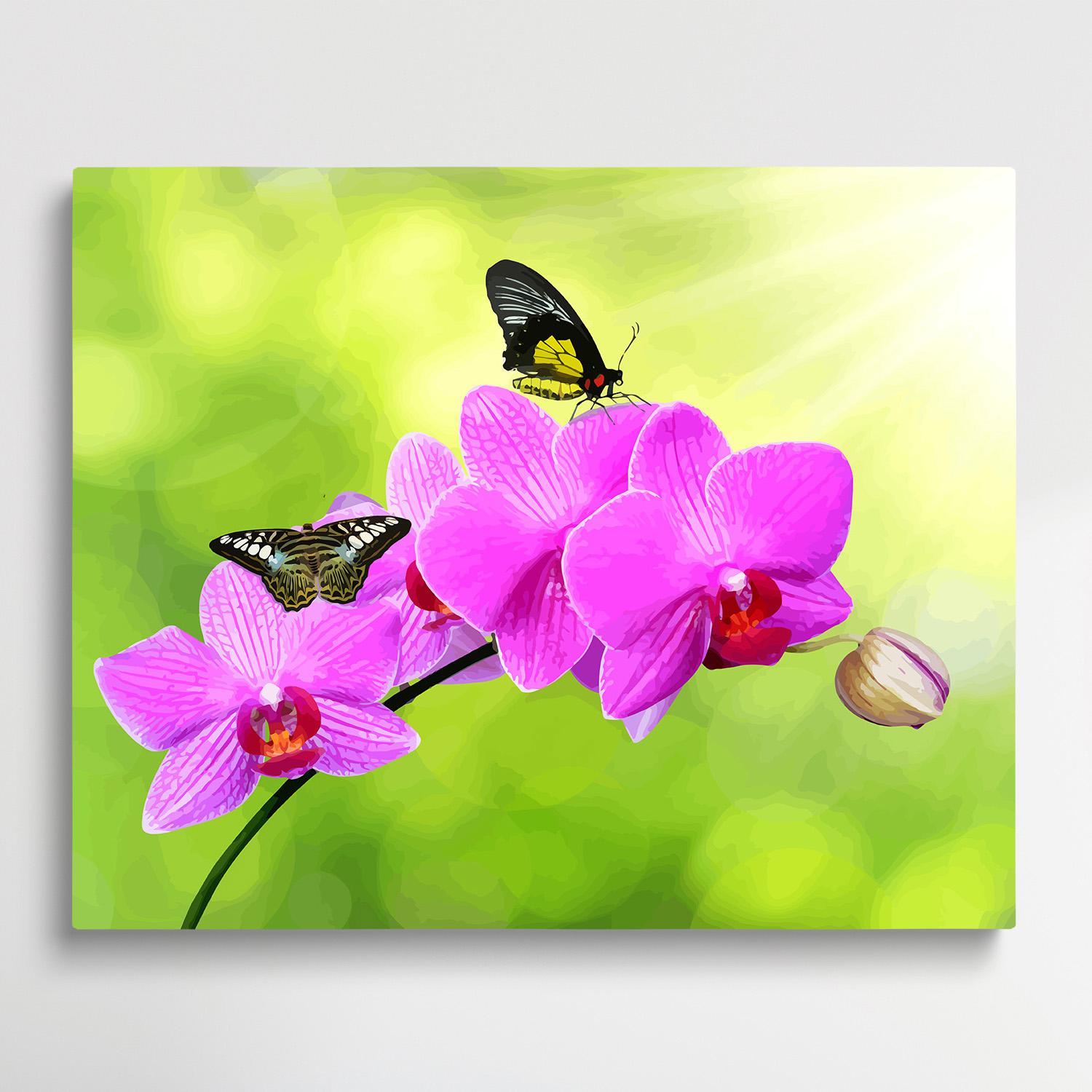 Orchids V1 | Paint by Numbers | Flowers-Paintsuper