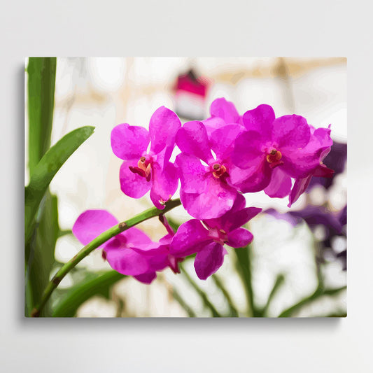 Orchids V2 | Paint by Numbers | Flowers-Paintsuper