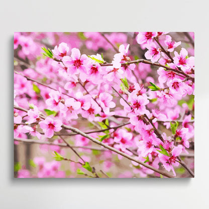 Peach Blossom V2 | Paint by Numbers | Flowers-Paintsuper