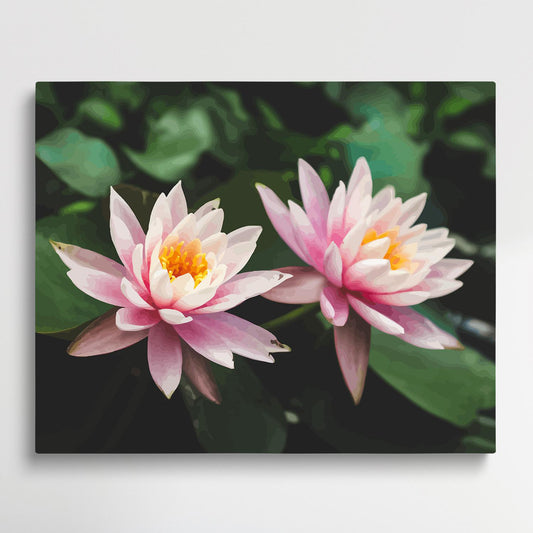 Pink water lilies | Paint by Numbers | Flowers-Paintsuper