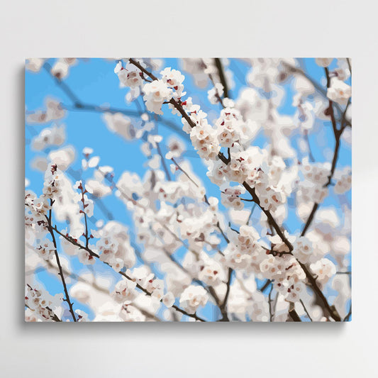 Plum Blossom V1 | Paint by Numbers | Flowers-Paintsuper