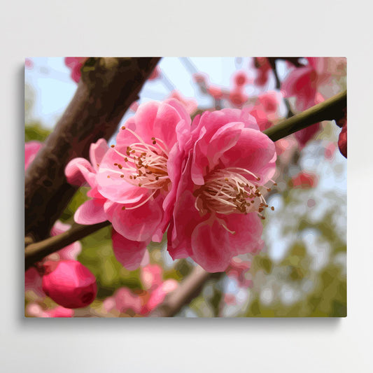 Plum Blossom V2 | Paint by Numbers | Flowers-Paintsuper