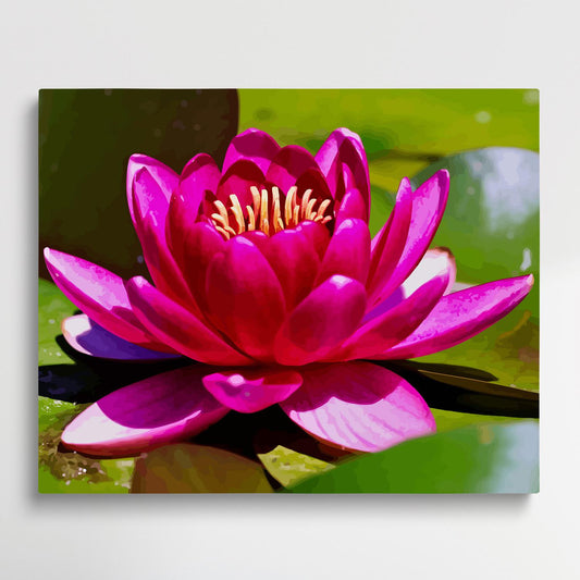 Red water lilies | Paint by Numbers | Flowers-Paintsuper