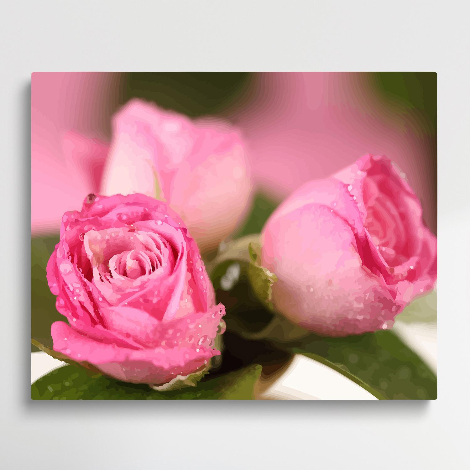 Roses V5 | Paint by Numbers | Flowers-Paintsuper