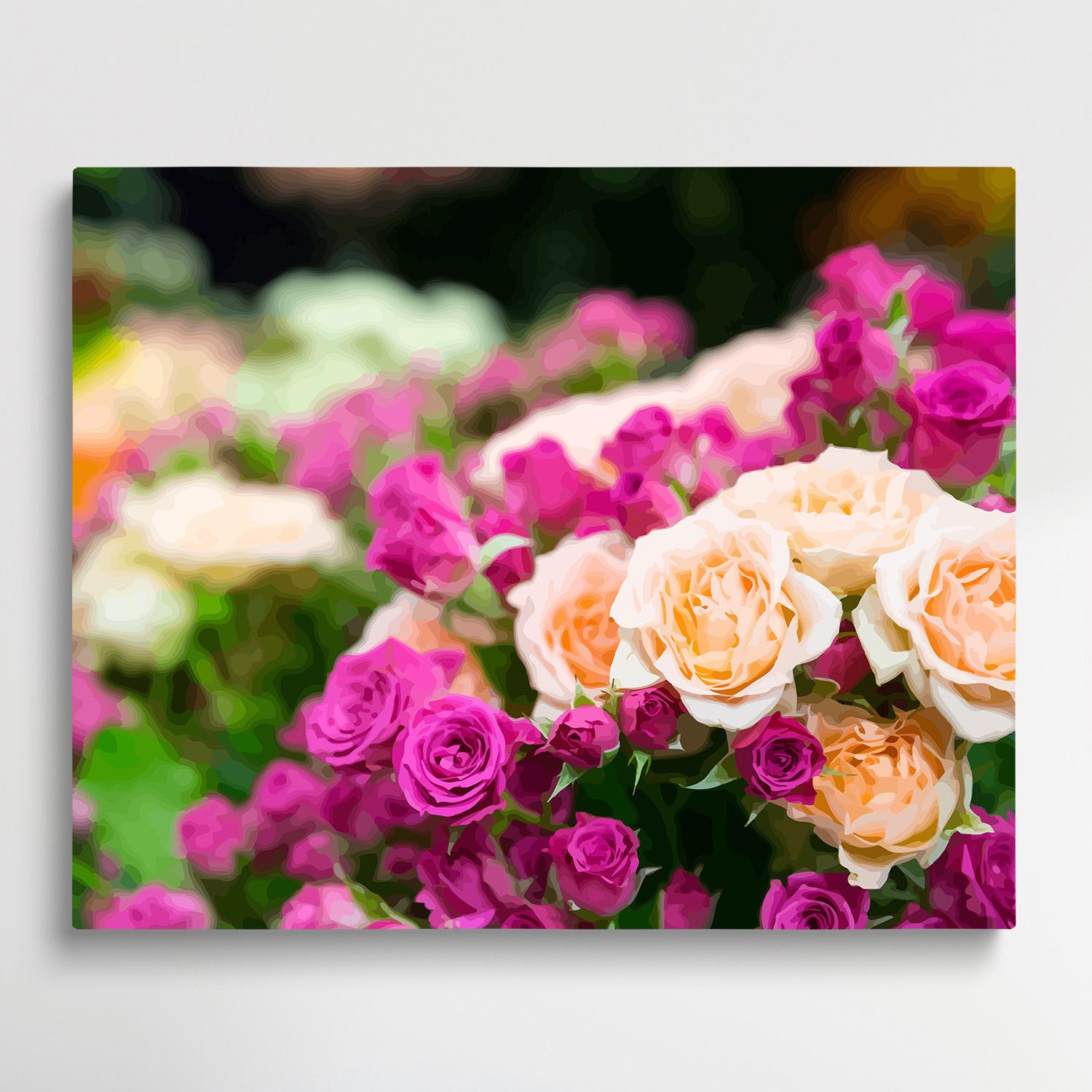 Roses V6 | Paint by Numbers | Flowers-Paintsuper
