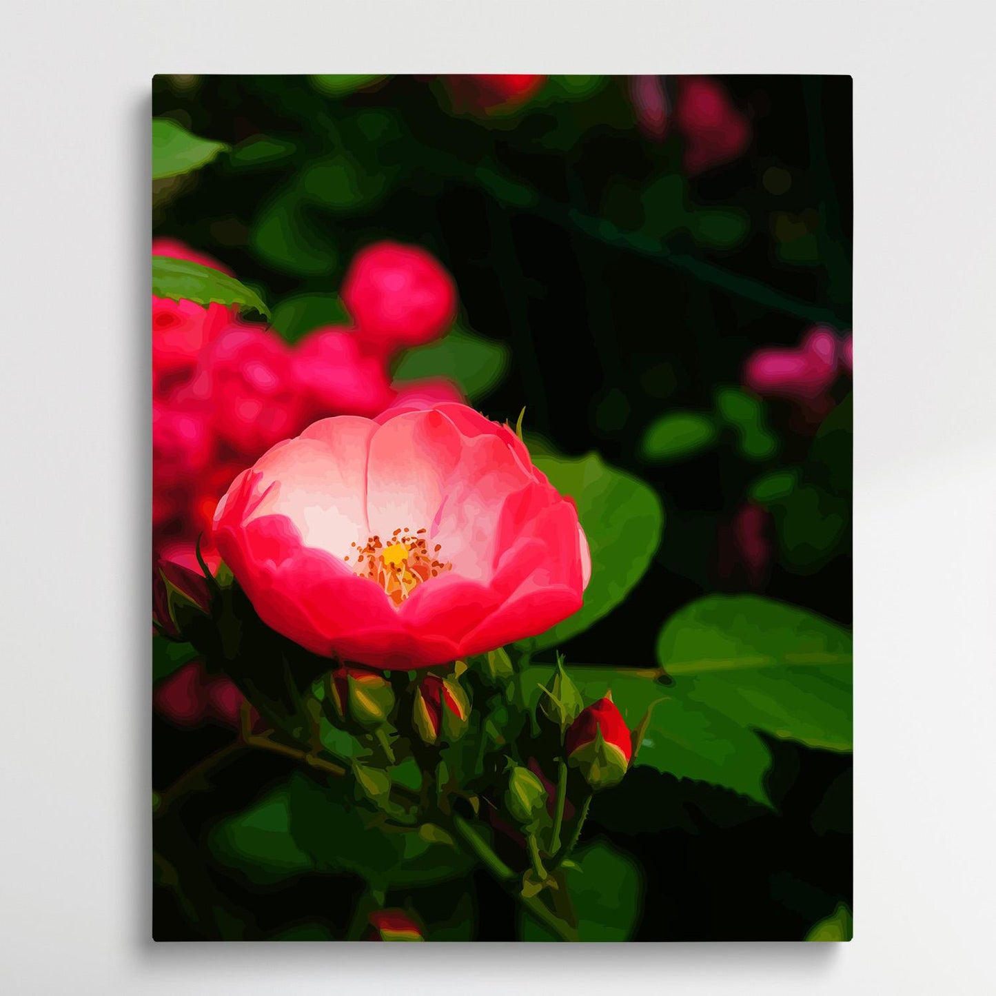 Roses V8 | Paint by Numbers | Flowers-Paintsuper