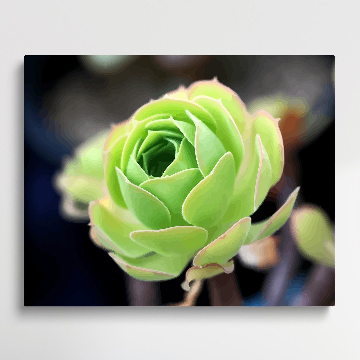 Succulent plants V1 | Paint by Numbers | Flowers-Paintsuper