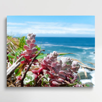 Succulent plants V3 | Paint by Numbers | Flowers-Paintsuper