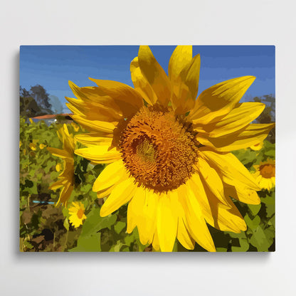 Sunflowers V1 | Paint by Numbers | Flowers-Paintsuper