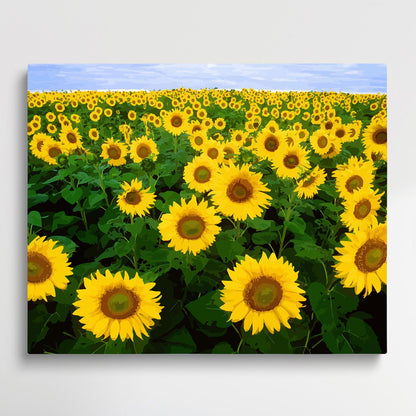 Sunflowers V2 | Paint by Numbers | Flowers-Paintsuper
