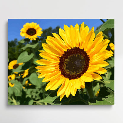 Sunflowers V3 | Paint by Numbers | Flowers-Paintsuper