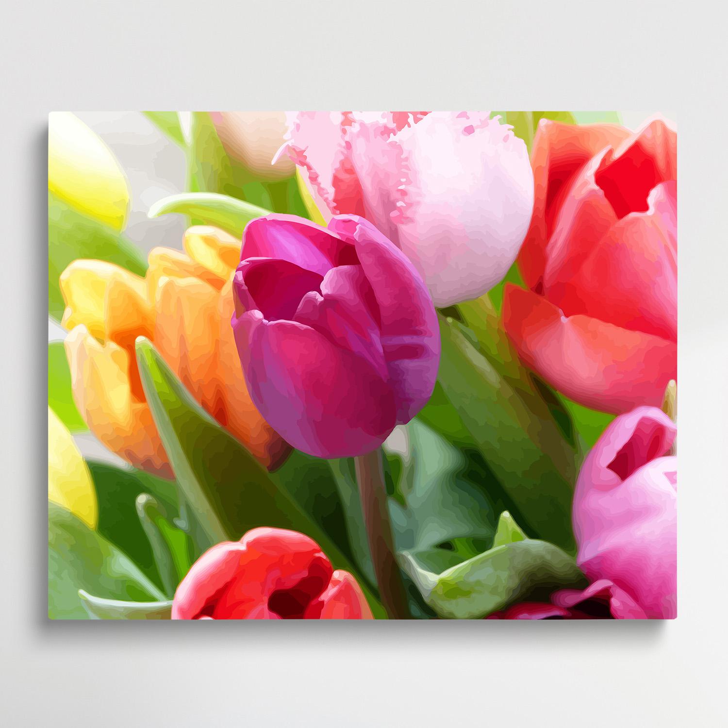 Tulips V1 | Paint by Numbers | Flowers-Paintsuper