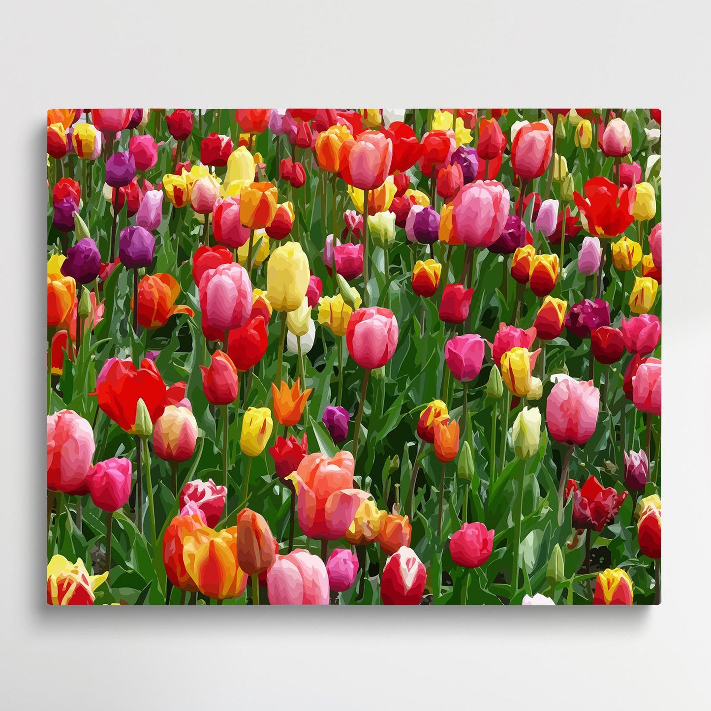 Tulips V2 | Paint by Numbers | Flowers-Paintsuper