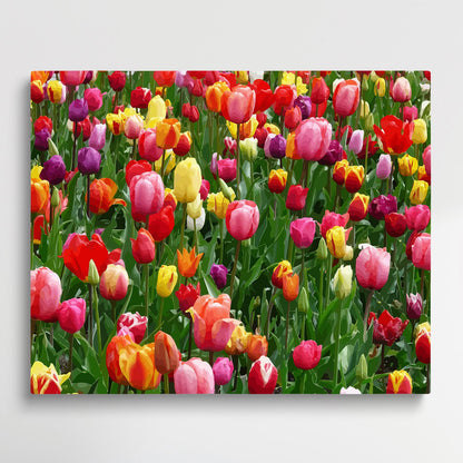 Tulips V2 | Paint by Numbers | Flowers-Paintsuper