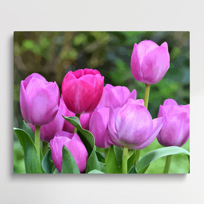 Tulips V3 | Paint by Numbers | Flowers-Paintsuper
