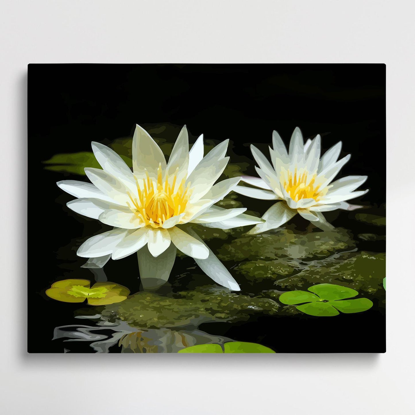 White water lilies | Paint by Numbers | Flowers-Paintsuper