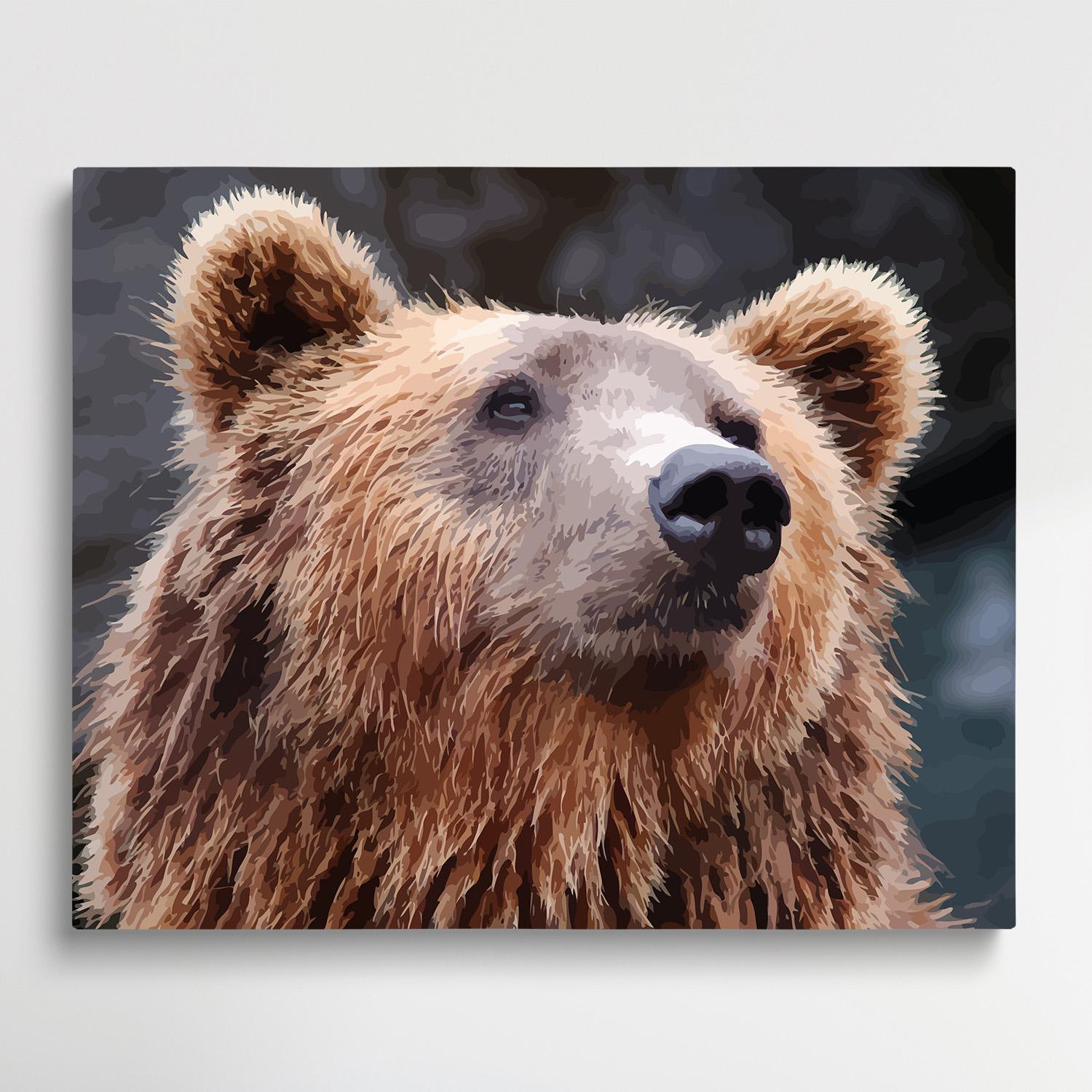 Bear | Paint by Numbers | Animals-Paintsuper