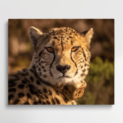 Cheetah | Paint by Numbers | Animals-Paintsuper