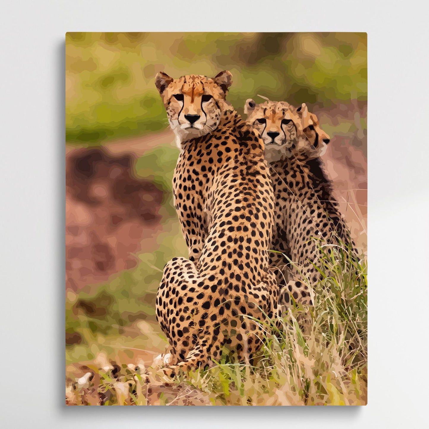 Cheetahs | Paint by Numbers | Animals-Paintsuper