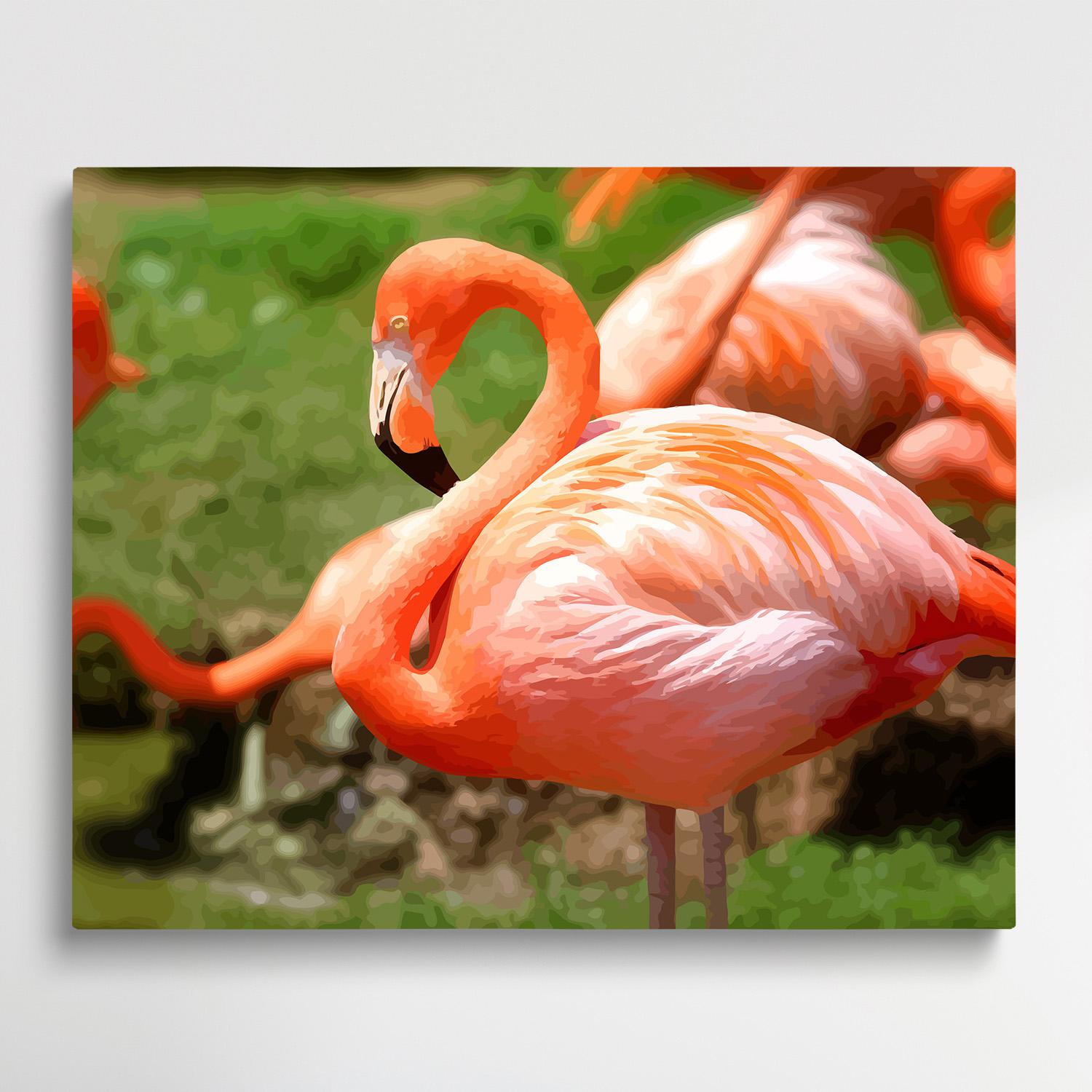 Flamingo | Paint by Numbers | Animals-Paintsuper
