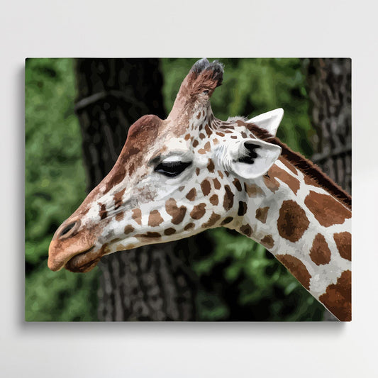 Giraffe | Paint by Numbers | Animals-Paintsuper