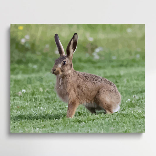 Hare | Paint by Numbers | Animals-Paintsuper