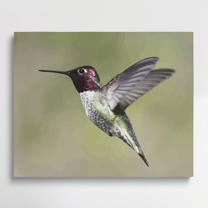 Hummingbird | Paint by Numbers | Animals-Paintsuper