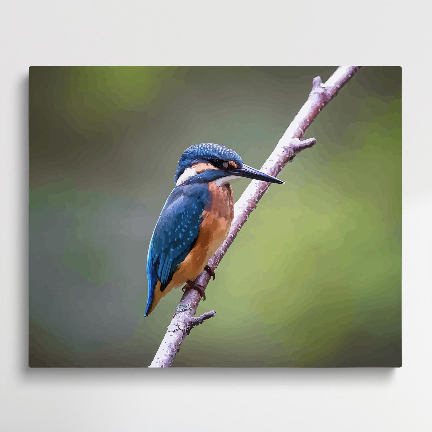 Kingfisher | Paint by Numbers | Animals-Paintsuper