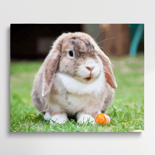 Lop eared | Paint by Numbers | Animals-Paintsuper