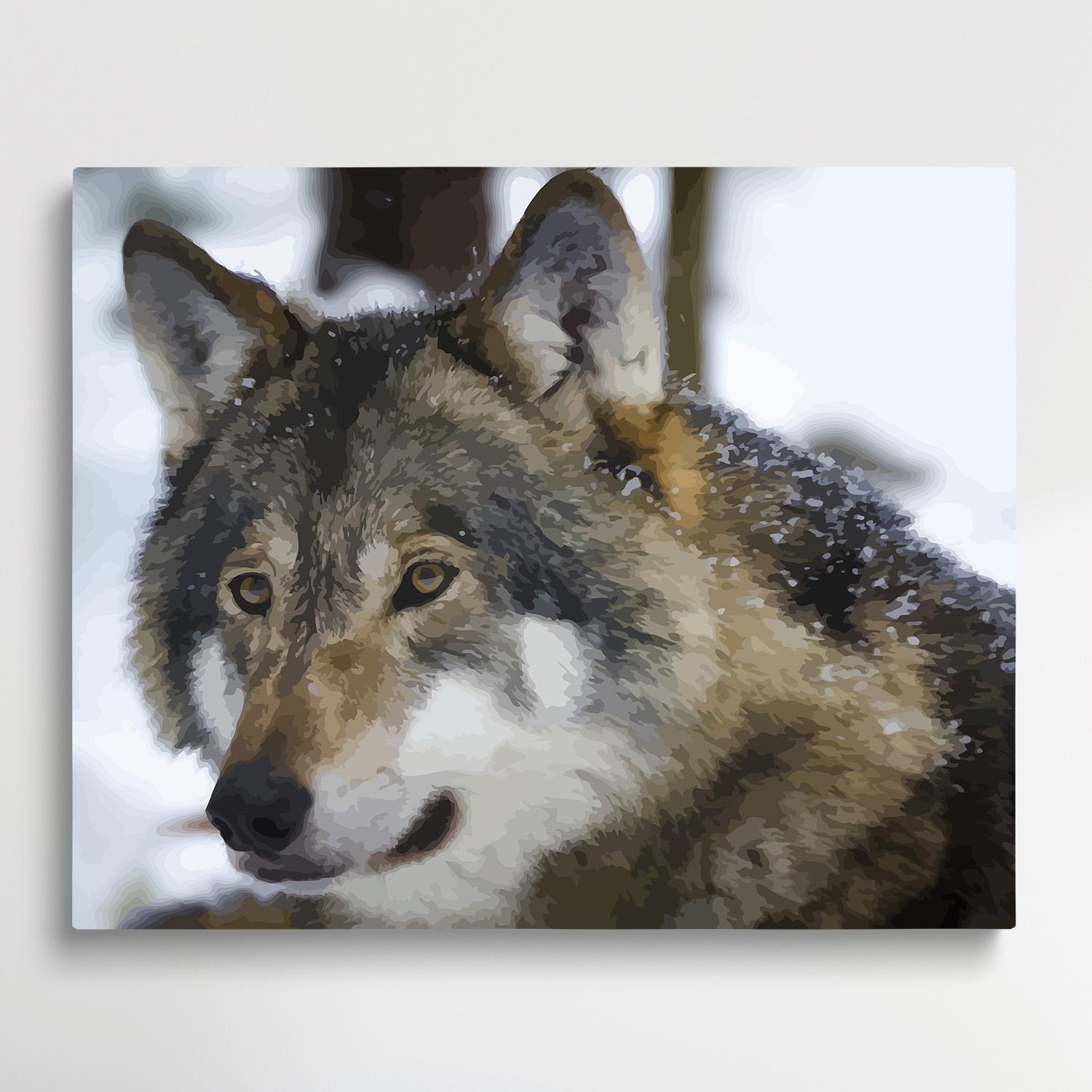 Mammal | Paint by Numbers | Animals-Paintsuper