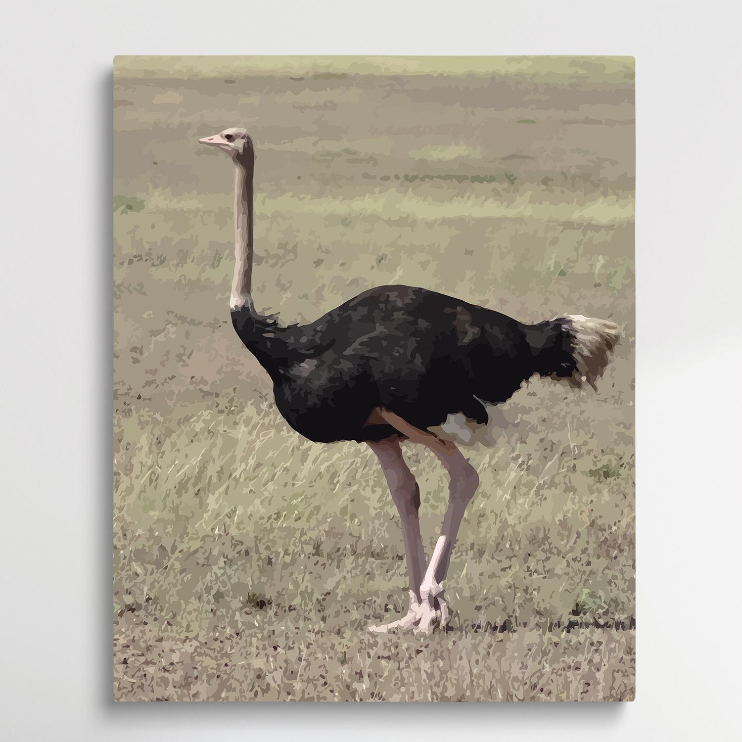 Ostrich | Paint by Numbers | Animals-Paintsuper
