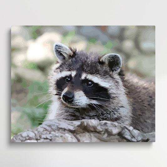 Raccoon | Paint by Numbers | Animals-Paintsuper