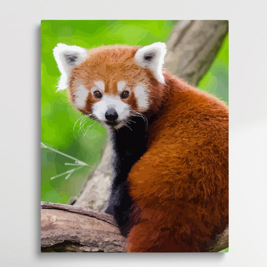 Red Panda V2 | Paint by Numbers | Animals-Paintsuper