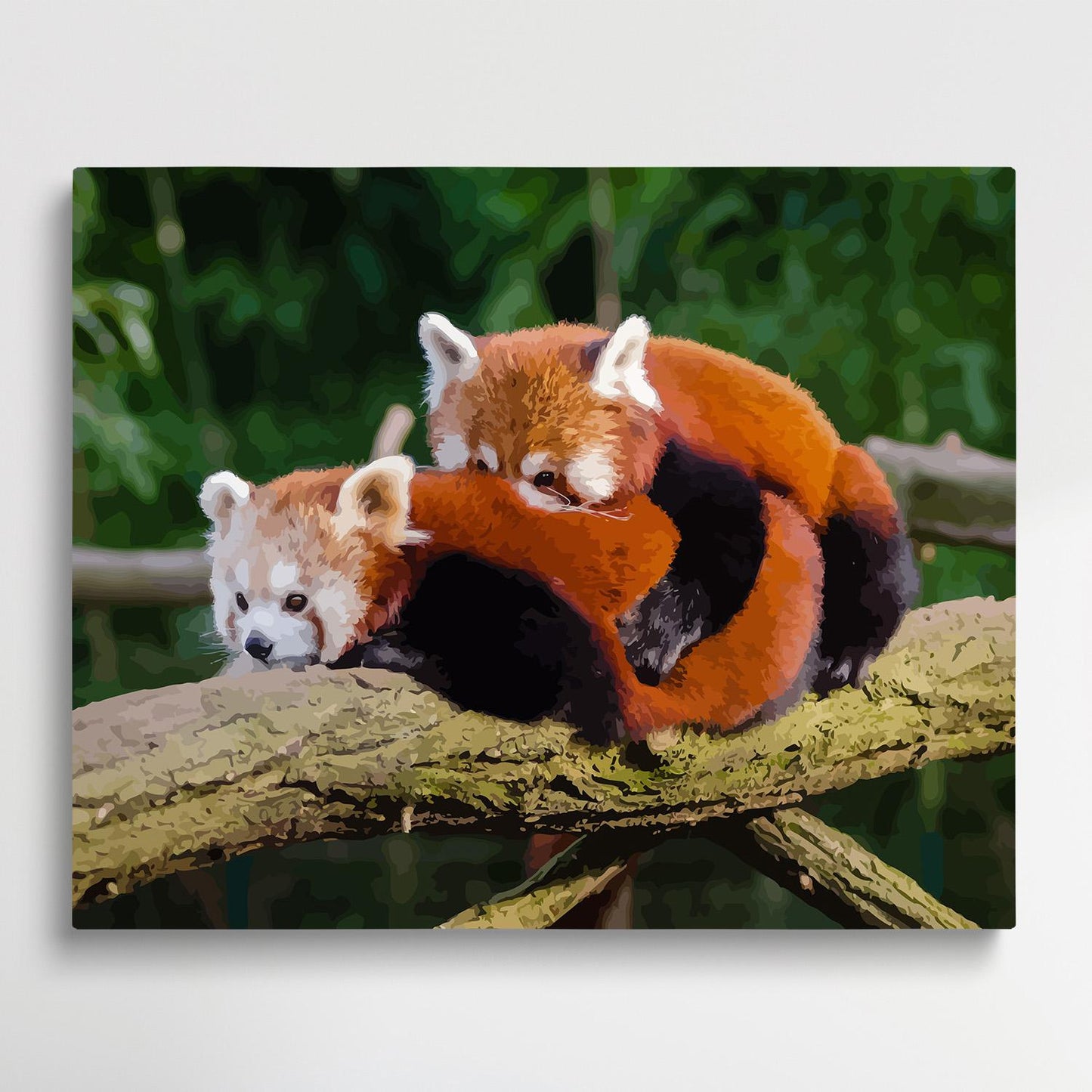 Red Panda | Paint by Numbers | Animals-Paintsuper