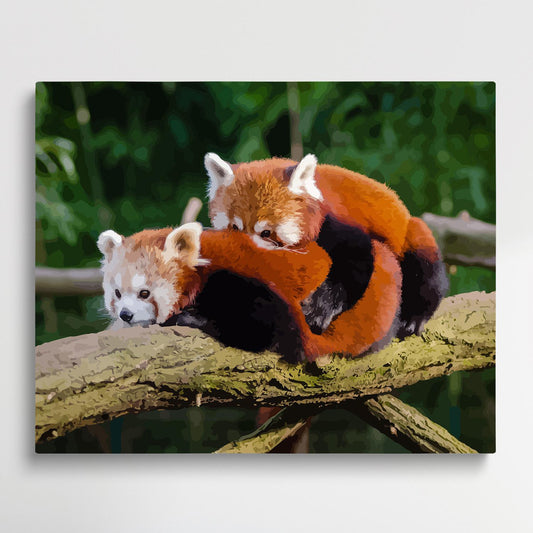 Red Panda | Paint by Numbers | Animals-Paintsuper