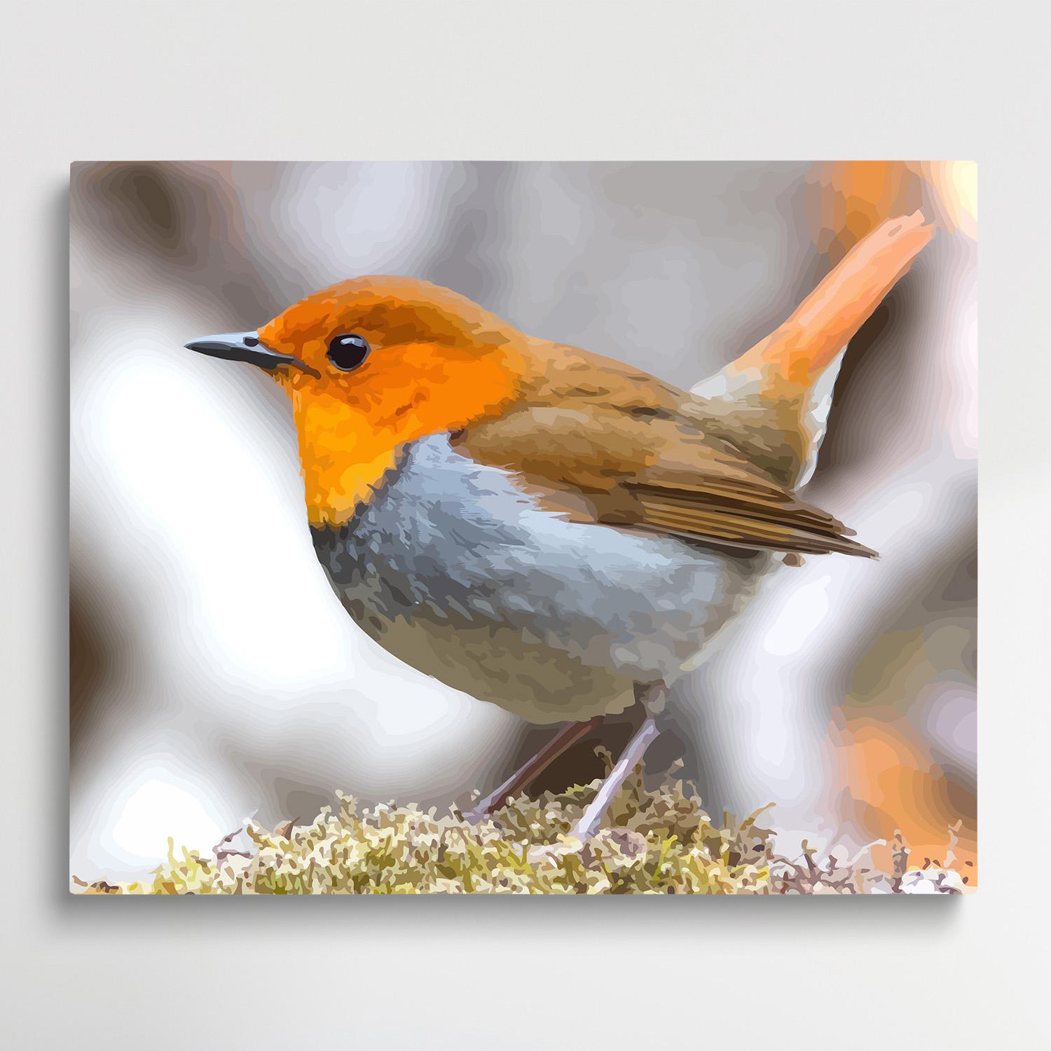 Robin | Paint by Numbers | Animals-Paintsuper