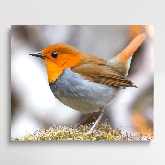 Robin | Paint by Numbers | Animals-Paintsuper