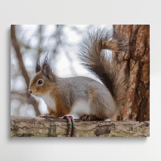 Squirrel | Paint by Numbers | Animals-Paintsuper