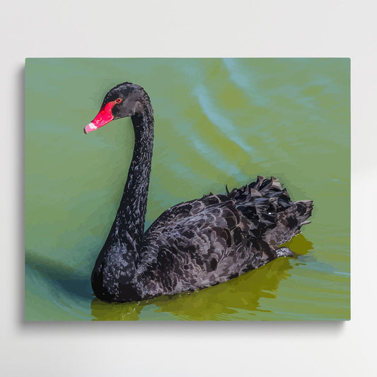 Swan | Paint by Numbers | Animals-Paintsuper